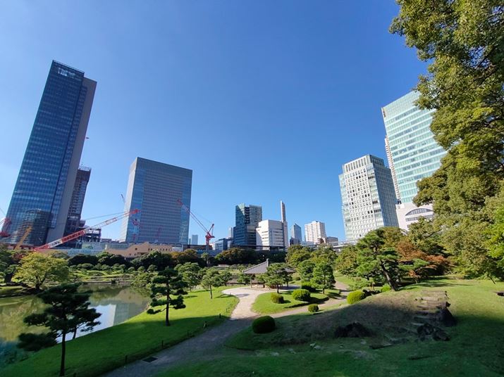 LpJŎBeBLXƂiF͎Beł邪Af܂葽Ȃ̂ōׂʑ̂͌ĂȂ