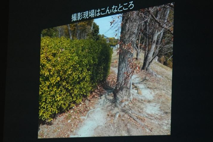 Rc񂪎g̎BeƂďЉAʂ̌