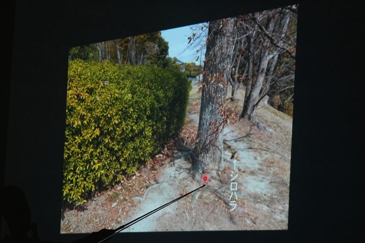 ؂̍iԊۂ̈ʒujɃVnƂ_ďi߂