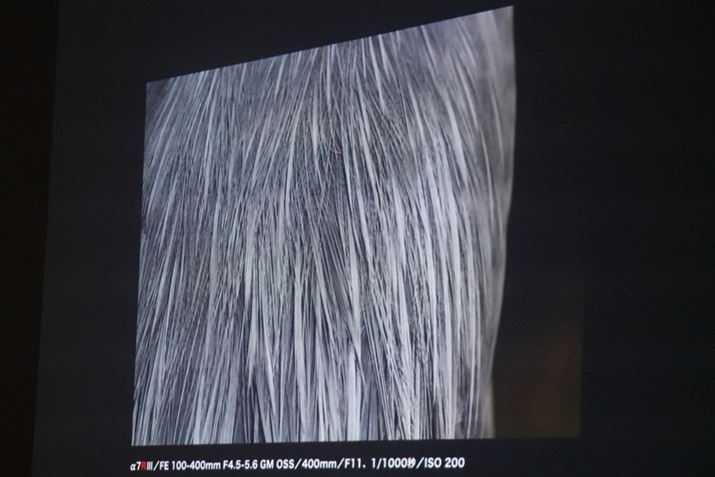 AITM̔wBeiBʂ̉EɃXy[X\ɂ邱ƂŃoXĂ