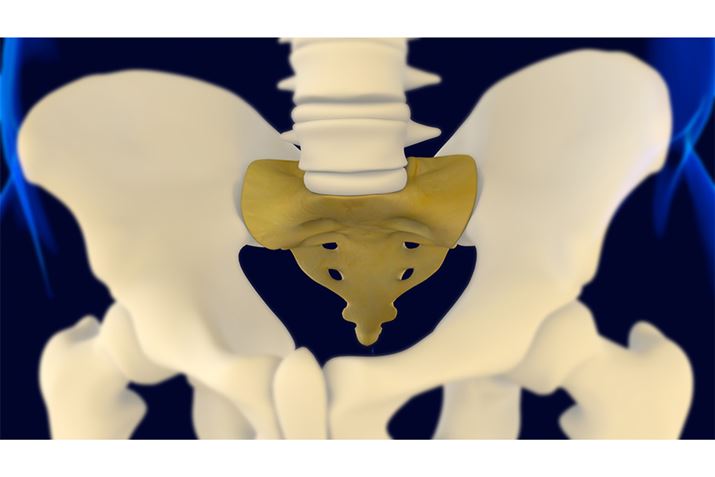 卜Ƃ́Aw̍ŉɂOp`̍̂