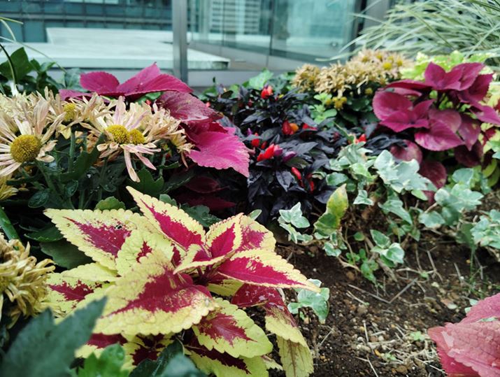 ܓV̋󒆒뉀B񂶐F̃REX̗ẗ͓ۂ肭񂾈ہBX}[gtHɂ肪ȃLLdオł͂Ȃ