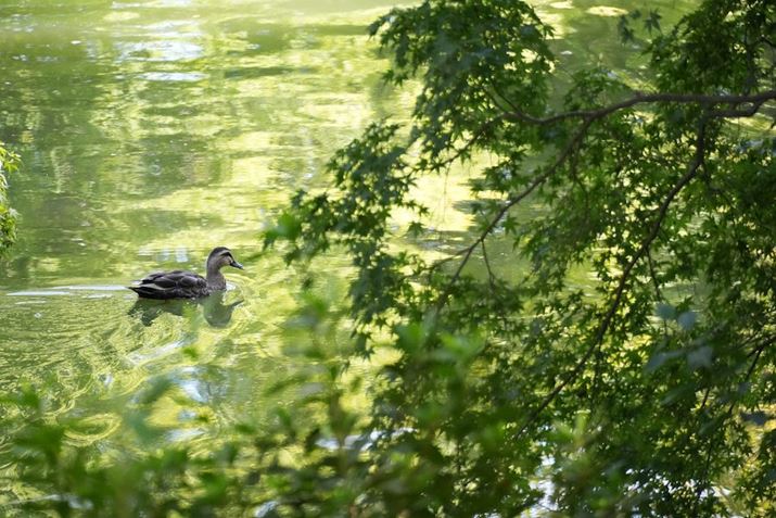 ʑ̔Fuvɐݒ肵ĎBeBO̎؂ɘf킳邱ƂȂAʂsJ̓ɂsg킹Ăꂽ6700AE18-135mm F3.5-5.6 OSSA135mmi35mmZ202mmjAF5.6A1/1000bAISO4000AzCgoXFI[gANGCeBubNFSTBeʐ^i6192×4128A20.4MBj