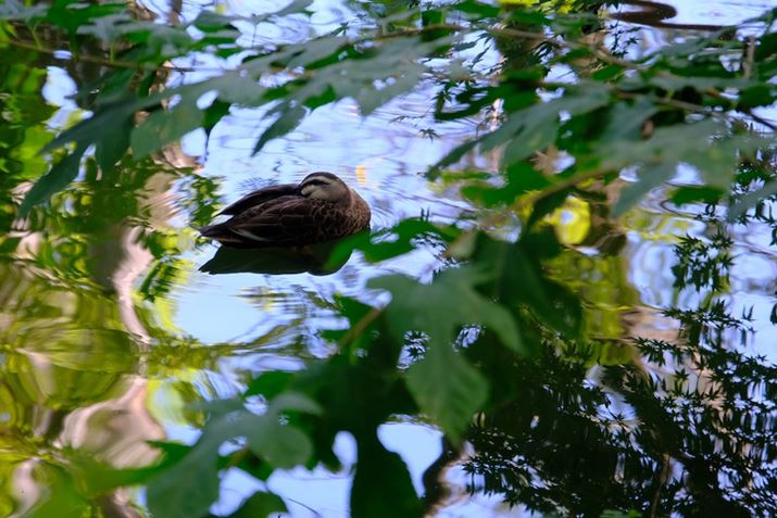 AňÏAJɃsg荇킹ȂBełX-T5AXF18-135mm F3.5-5.6R LM  OIS WRA135mmi35mmZ202mmjAF5.6A1/110bAISO1600AzCgoXFI[gAtBV~[VFVelviaBeʐ^i7728×5152A19.9MBj