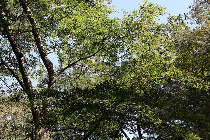 EOS R7ARF-S18-150mm F3.5-6.3 IS STMA35mmi35mmZ52mmjAF8A1/60bAISO100AzCgoXFI[gi͋CDjAsN`[X^CFX^_[hBeʐ^i6960×4640A25.1MBj