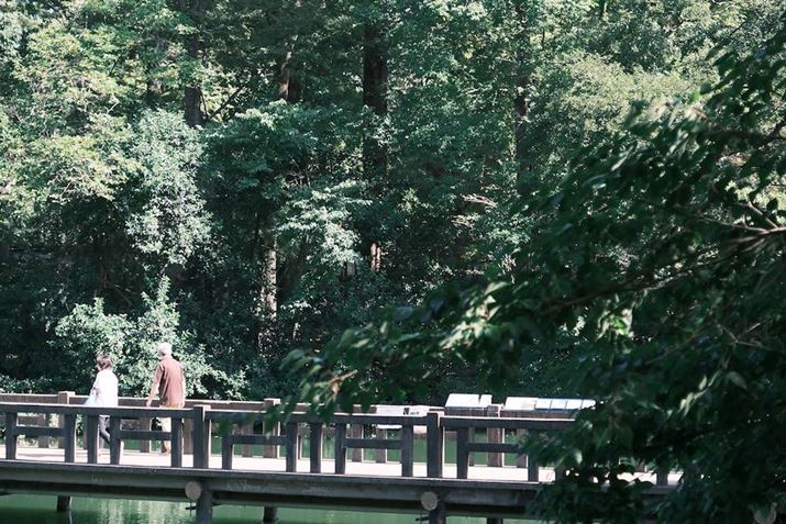 X-T5AXF18-135mm F3.5-5.6R LM  OIS WRA66mmi35mmZ99mmjAF5.6A1/400bAISO800AzCgoXFI[gAtBV~[VFNVbNlKBeʐ^i7728×5152A21.8MBj