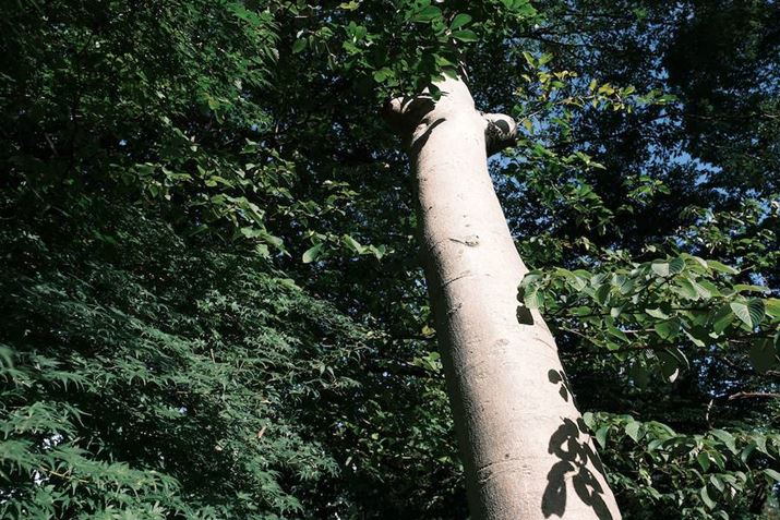 X-T5AXF18-135mm F3.5-5.6R LM  OIS WRA18mmi27mmjAF8A1/160bAISO125AzCgoXFI[gi͋CDjAtBV~[VFNVbNlKBeʐ^i7728×5152A24.1MBj