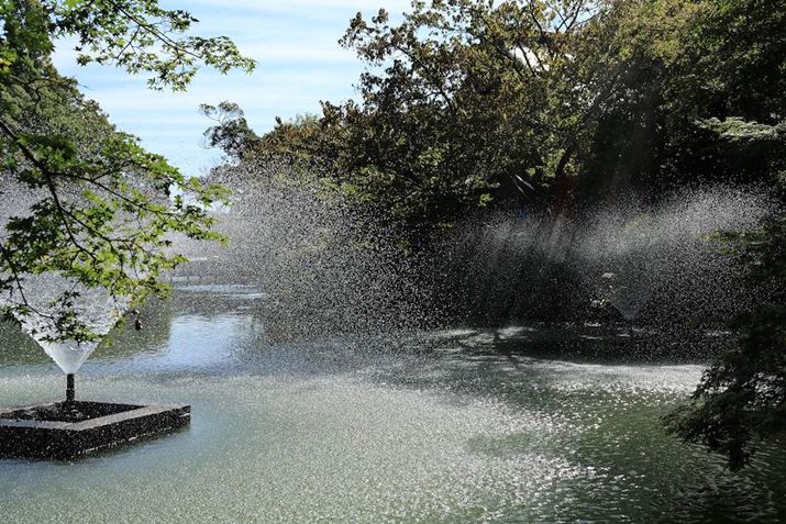 EOS R7ARF-S18-150mm F3.5-6.3 IS STMA24mmi36mmjAF6.3A1/1600bAISO400AzCgoXFzAsN`[X^CFiBeʐ^i6960×4640A23.5MBj