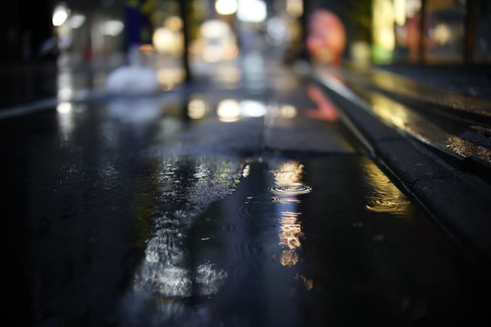 EOS R6 Mark IIANOKTON 50mm F1 AsphericalAF1.0A1/250bAISO640A+0.3EVAzCgoXFI[gAsN`[X^CFX^_[hBeʐ^i6000×4000A5.7MBj