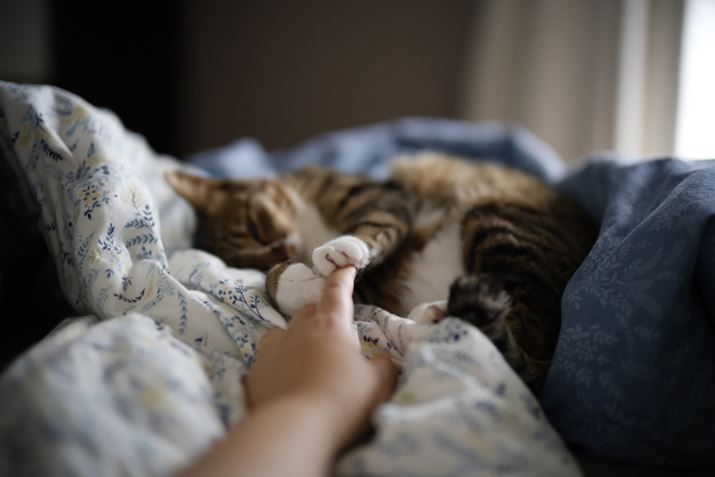 EOS R6 Mark IIANOKTON 50mm F1 AsphericalAF1.2A1/60bAISO6400A+0.7EVAzCgoXFI[gAsN`[X^CFX^_[hBeʐ^i6000×4000A6.5MBj