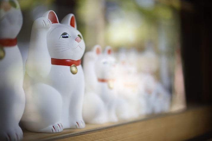 EOS R6 Mark IIANOKTON 50mm F1 AsphericalAF1.0A1/200bAISO100A+2.0EVAzCgoXFI[gAsN`[X^CFX^_[hBeʐ^i6000×4000A4.0MBj