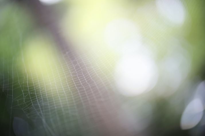 EOS R6 Mark IIANOKTON 50mm F1 AsphericalAF1.0A1/60bAISO100A+2.3EVAzCgoXFI[gAsN`[X^CFX^_[hBeʐ^i6000×4000A3.9MBj