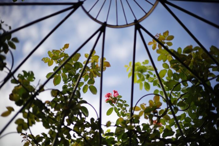 EOS R6 Mark IIANOKTON 50mm F1 AsphericalAF1.0A1/8000bAISO100A+0.7EVAzCgoXFI[gAsN`[X^CFX^_[hBeʐ^i6000×4000A5.8MBj