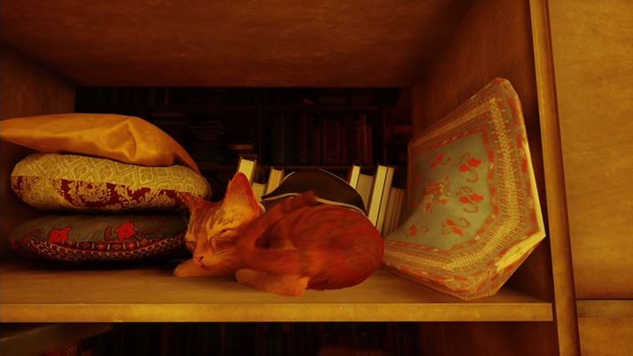 QĂLSSLȂŐ𗧂ĂƁAꂪAȐUŃRg[[ɓ`Ă