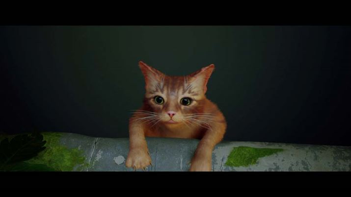 4Cŉ߂ĽQ̂1CAnォÂn֗Ă܂Ƃ납Xg[[n܂