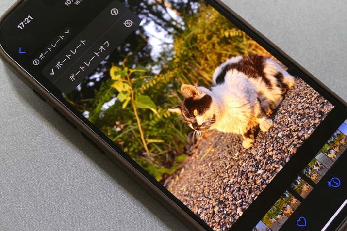 uiPhone 15vV[Ył́ABeŁAuʐ^vAv̍ɕ\ACȒ삩|[g[g[h̃I/It؂ւ܂