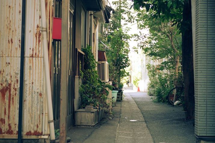 X^[g͌wBw߂̐ʂ̗͉炵cꏊłPENTAX K-3 Mark IIIAHD PENTAX-DA 40mmF2.8 LimitedAiDAEAF2.8A1/60bAISO200A+0.3EVAzCgoXFzAJX^C[WFGoldBeʐ^i6192×4128A12.3MBj