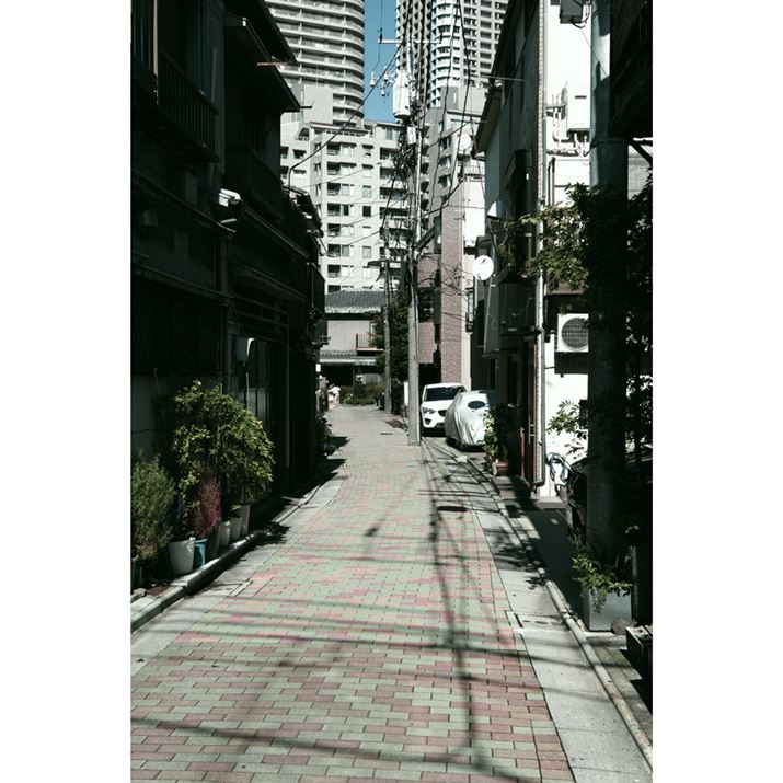 EǴAႢƍwr̃RgXgʔłPENTAX K-3 Mark IIIAHD PENTAX FA 21mmF2.4ED Limited DC WRAVb^[DI[gAF8A1/125bAISO100A+0.3EVAzCgoXF}`p^[I[gAJX^C[WFc