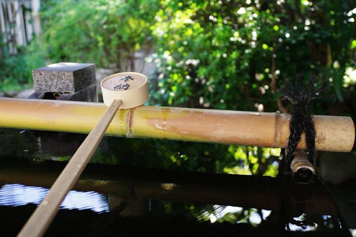 JX^C[WuēViKATENjvŎBeBA̗ΐFXƕ\̂uēViKATENjv̓łPENTAX K-3 Mark IIIAHD PENTAX FA 21mmF2.4ED Limited DC WRAiDAEAF2.4A1/100bAISO200A-0.3EVAzCgoXF}`p^[I[gAJX^C[WFēViKATENjBeʐ^i6192×4128A13.6MBj