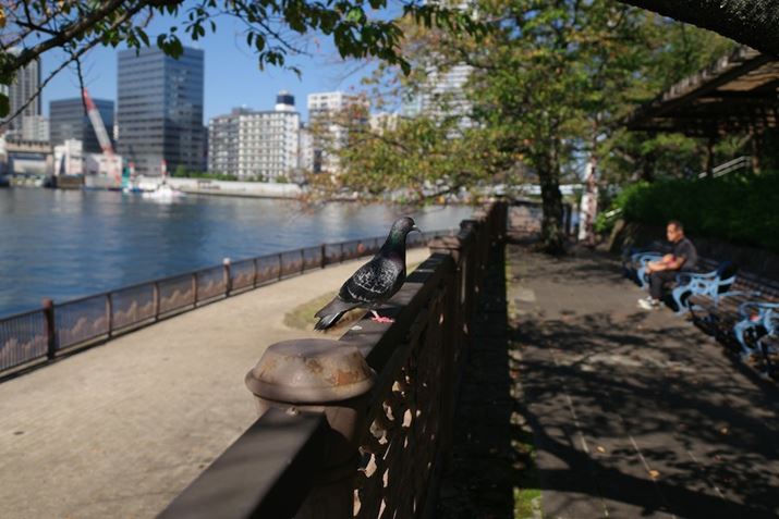 PENTAX K-3 Mark IIIAHD PENTAX FA 21mmF2.4ED Limited DC WRAiDAEAF2.8A1/3200bAISO200A-1EVAzCgoXFCTEAJX^C[WFiMIYABIj