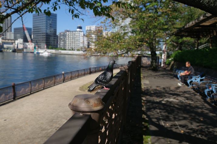 PENTAX K-3 Mark IIIAHD PENTAX FA 21mmF2.4ED Limited DC WRAiDAEAF2.8A1/3200bAISO200A-1EVAzCgoXFI[gAJX^C[WFiMIYABIj