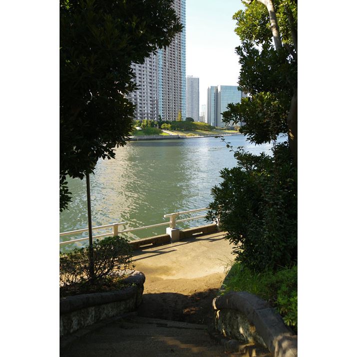 ̒ɂ钆̓B͖iBeɂœK̏ꏊłPENTAX K-3 Mark IIIAHD PENTAX FA 21mmF2.4ED Limited DC WRAvOAEAF4A1/160bAISO100A-0.3EVAzCgoXFܓVAJX^C[WFiBeʐ^i4128×6192A11.2MBj