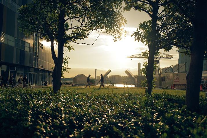 PENTAX K-3 Mark IIIAHD PENTAX FA 21mmF2.4ED Limited DC WRAiDAEAF2.4A1/8000bAISO100AzCgoXF}`p^[I[gAJX^C[WFGold