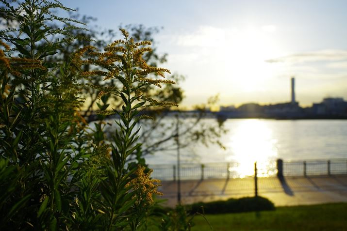 PENTAX K-3 Mark IIIAHD PENTAX FA 21mmF2.4ED Limited DC WRAiDAEAF2.4A1/5000bAISO100AzCgoXF}`p^[I[gAJX^C[WF|bv`[Beʐ^i6192×4128A12.7MBj