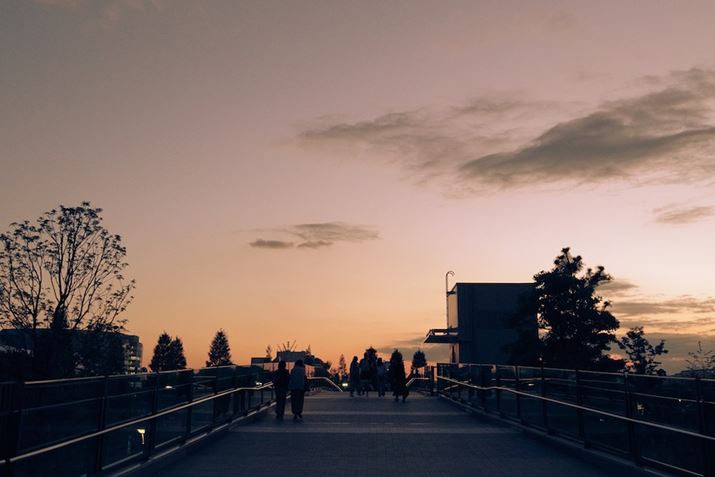 PENTAX K-3 Mark IIIAHD PENTAX FA 21mmF2.4ED Limited DC WRAvOAEAF6.3A1/250bAISO6400AzCgoXFFuAJX^C[WFGold