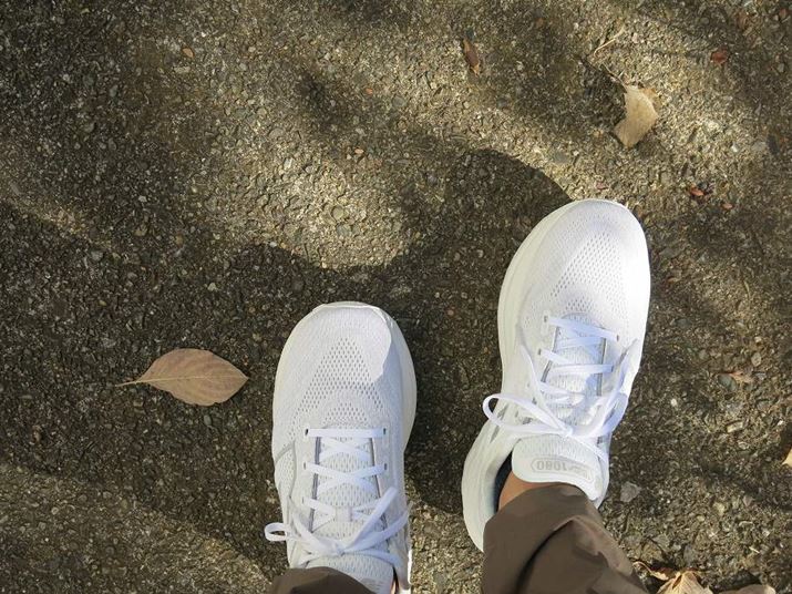 ~bh\[fނ̍NbVƓKxȔɂāAy₩ɕ