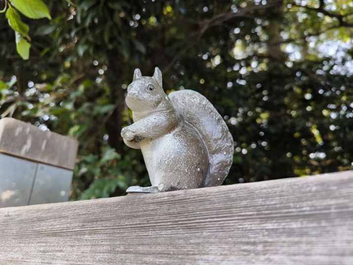 uXiaomi 13TvijAuXiaomi 13T Provij