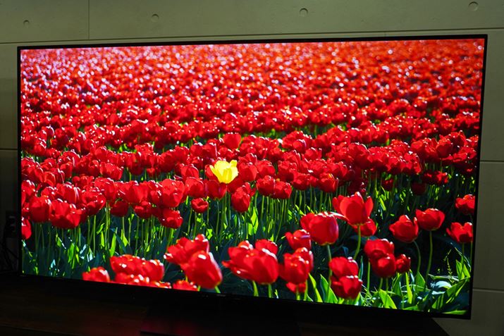 V[vuAQUOS QD-OLED FS1v@r[