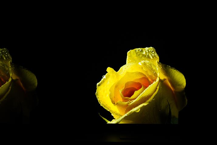 4K/HDRRecł͐FuFɂȂ悤ȂƂ͂ȂBPx̐F̏Ȃ͂QD-OLEDplƂƂ