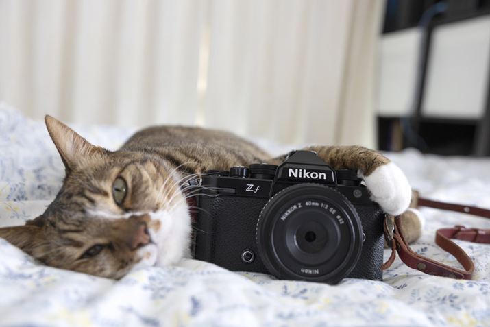 䂪Ƃ̎jLƍ̑_JuZ fv