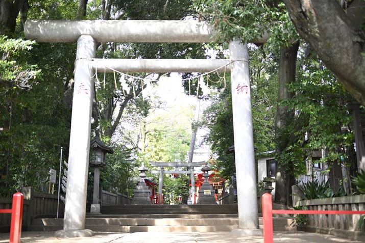 Z fANIKKOR Z 40mm f/2iSEjAF2A1/125bAISO100A+1.7EVAzCgoXFI[gAsN`[X^CFX^_[hBeʐ^i6048×4032A15.5MBj