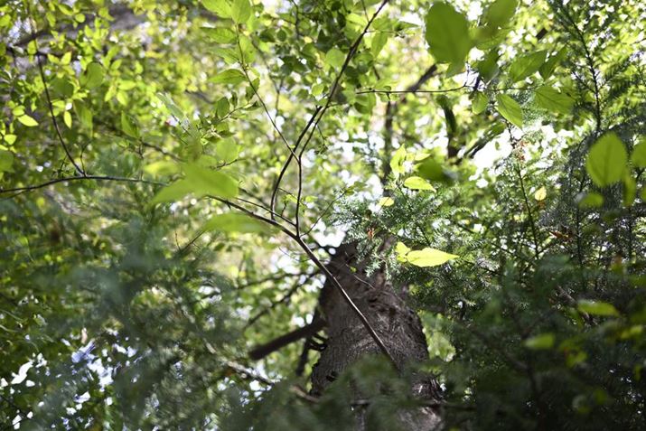 Z fANIKKOR Z 40mm f/2iSEjAF2A1/200bAISO100A+1.0EVAzCgoXFI[gAsN`[X^CFX^_[hBeʐ^i6048×4032A12.9MBj