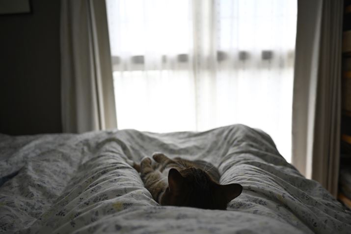 Lɂ܂QZ fANIKKOR Z 28mm f/2.8iSpecial EditionjAF2.8A1/400bAISO1000A+1.0EVAzCgoXFI[gAsN`[X^CFX^_[hBeʐ^i6048×4032A8.8MBj