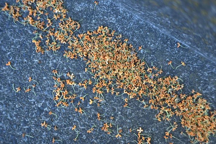 Z fANIKKOR Z 40mm f/2iSEjAF2A1/160bAISO100A+0.3EVAzCgoXFI[gAsN`[X^CFX^_[hBeʐ^i6048×4032A15.1MBj