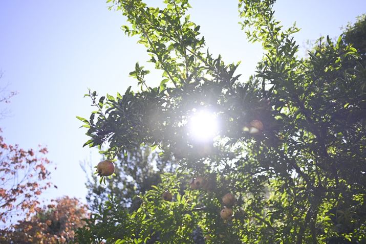 Z fANIKKOR Z 40mm f/2iSEjAF2.8A1/640bAISO100A+1.3EVAzCgoXFI[gAsN`[X^CFX^_[hBeʐ^i6048×4032A11.0MBj