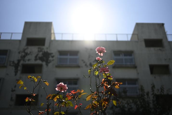 ̒cnoZ fANIKKOR Z 40mm f/2iSEjAF2A1/6400bAISO100A-0.3EVAzCgoXFI[gAsN`[X^CFX^_[hBeʐ^i6048×4032A7.9MBj