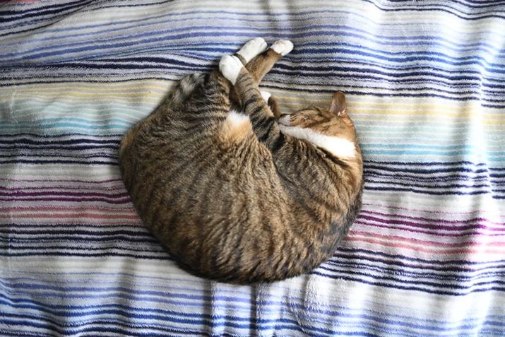 Z fANIKKOR Z 40mm f/2iSEjAF2A1/50bAISO400A+0.3EVAzCgoXFI[gAsN`[X^CFX^_[hBeʐ^i6048×4032A13.9MBj