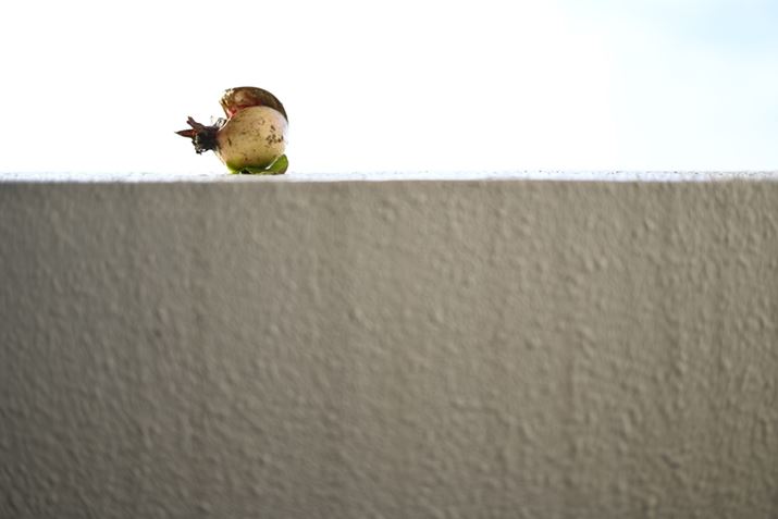 납ĂUNLOɃp`Z fANIKKOR Z 40mm f/2iSEjAF2A1/800bAISO100A+1.7EVAzCgoXFI[gAsN`[X^CFX^_[hBeʐ^i6048×4032A6.0MBj