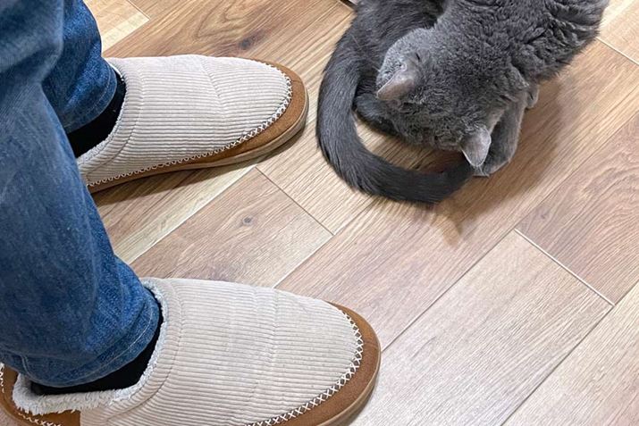 ~ɍwR[fC{ÃXbpBۉʂ͏\̂͂łA₦Ԃł́cc