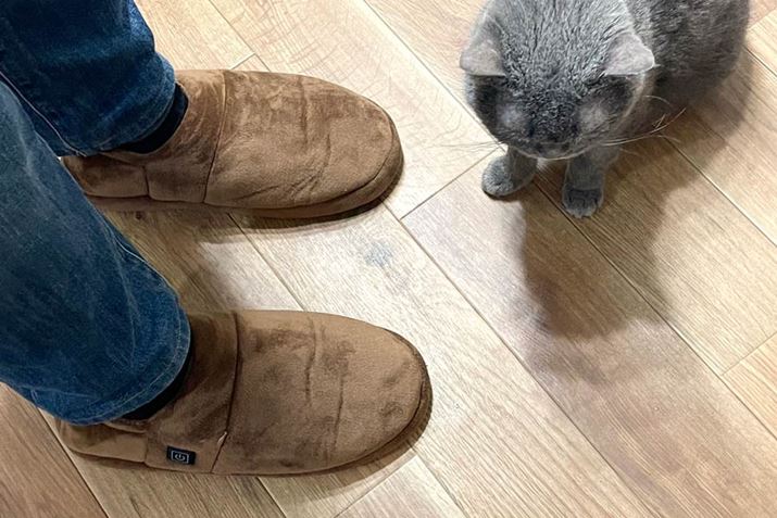 ₦₦ƂLʏāAꂳĂ΃zbgJ[ybg̏Ɠł