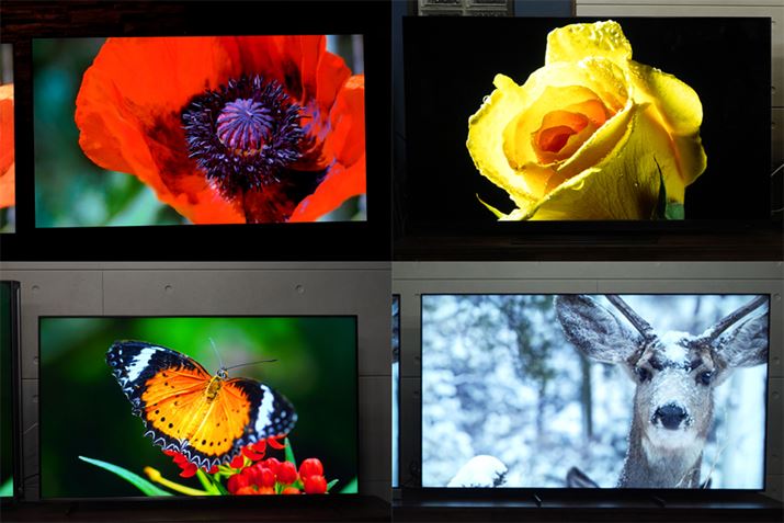 2023Ner܂Ƃ L@ELt邢掿AlbgEQ[~Ȍ[