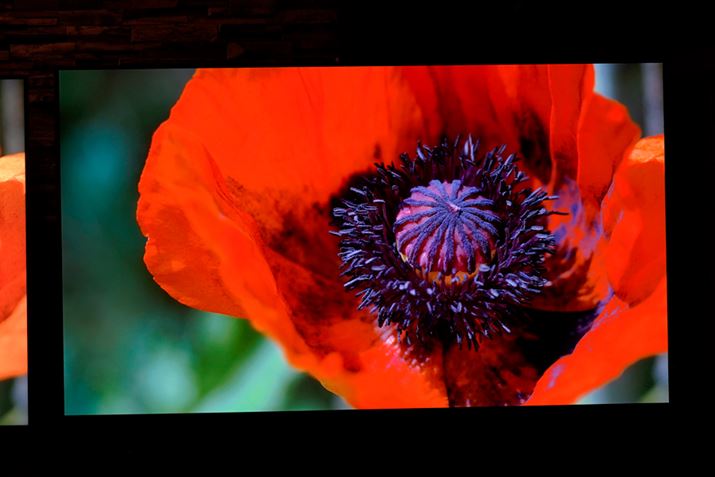 pi\jbNuVIERA MZ2500vV[Y