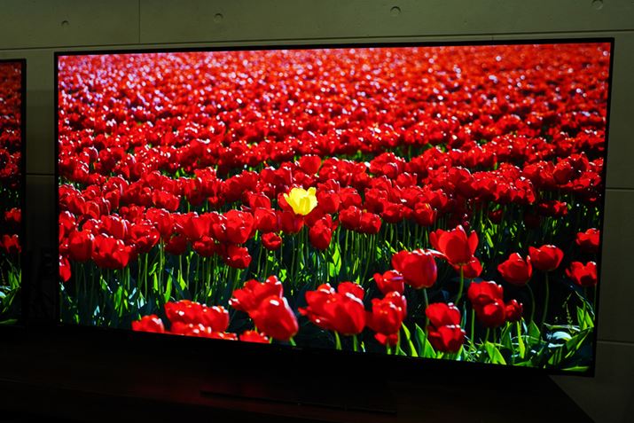 V[vuAQUOS QD-OLED FS1vV[Y