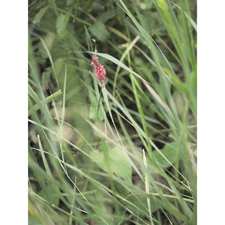 LUMIX G9PROIIALEICA DG VARIO-ELMARIT 12-35/F2.8 ASPH./ POWER O.I.S.A35mmi70mmjAvOAEAF2.8A1/80bAISO125A-0.7EVAzCgoXFܓVAtHgX^CFL.NVbNlIA߃JX^}CY2ŎBe