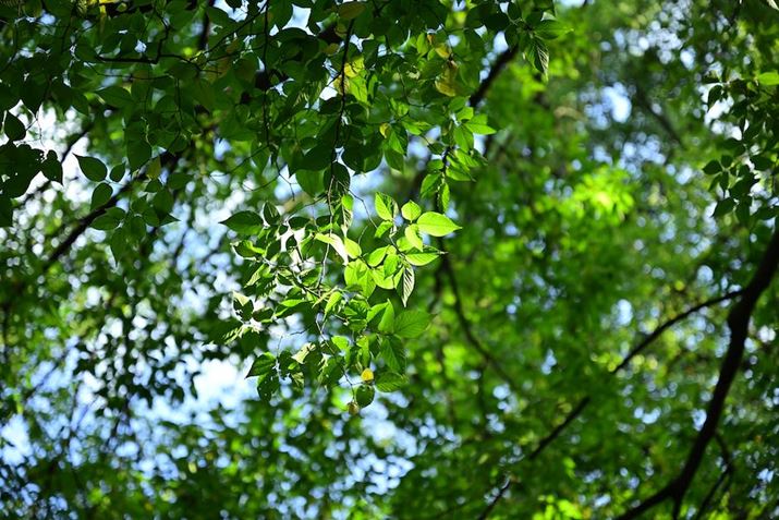 Z 8ANIKKOR Z 24-70mm f/2.8 SA70mmAiDI[gAF2.8A1/200bAISO100A+0.7EVAzCgoXFVAsN`[Rg[FiA߃JX^}CY1ŎBe