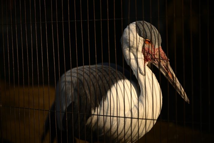 Z 8ANIKKOR Z 24-70mm f/2.8 SA70mmAiDI[gAF2.8A1/2000bAISO100A-0.3EVAzCgoXFܓVAsN`[Rg[FSOMBERA߃JX^}CY2ŎBe